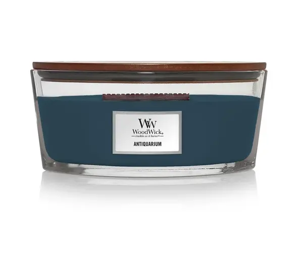 Wood Wick Vonná svíčka Antiquarium 454 g