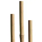 Bambusová tyč 150 cm 12/14 mm 05609