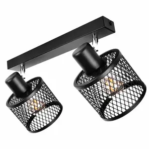 Stropné bodové svietidlo  BASKET 2951/Z-B-2 LS2