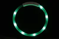 Reedog Easy Light USB dobíjecí svítící obojek pro psy a kočky - zelená