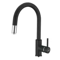 Alveus Delos drezová batéria s vyťahovacou sprškou antracit 1129022