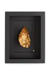 Nástenná dekorácia v ráme Maria el Mar Single Oyster 22 x 17 cm