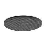 Hansgrohe Raindance Alive S hlavová sprcha na strop alebo na stenu matná biela 24520700