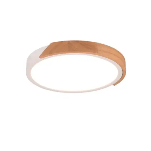 LED stropné osvetlenie Reality Jano biela R67201131