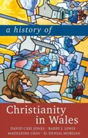 A History of Christianity in Wales - David Jones, Madeleine Gray, Barry Lewis, D. Densil Morgan