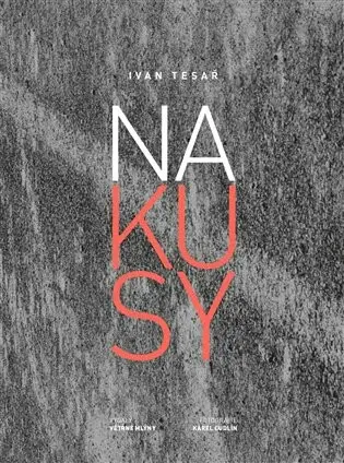 Na kusy (Defekt) - Ivan Tesař