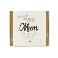 Blossombs Semínkové bomby - Dárková sada střední "Pro nejlepší maminku" (9 ks)