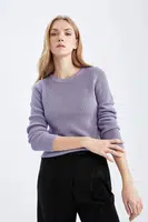 DEFACTO Regular Fit Pulovr s kulatým výstřihem, látka Thessaloniki