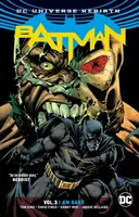 Batman Vol. 3: I Am Bane - David Finch, Tom King