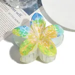 Resin Claw Hair Clips