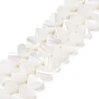 Natural Trochus Shell Beads Strands