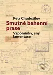 Smutné bahenní prase - Petr Chudožilov