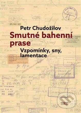 Smutné bahenní prase - Petr Chudožilov