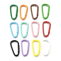 Spray Painted Alloy Spring Gate Rings