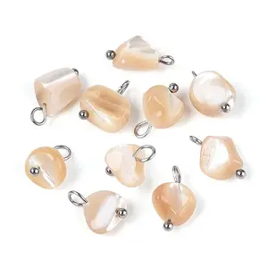 Natural Trochus Shell Nuggets Charms