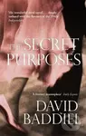 The Secret Purposes - David Baddiel