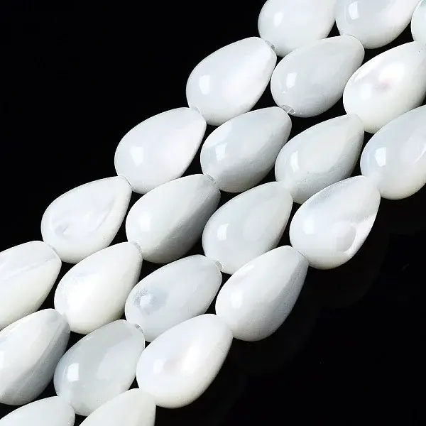 Natural Trochid Shell/Trochus Shell Beads Strands