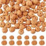 120Pcs 2 Styles Natural Rudraksha Beads