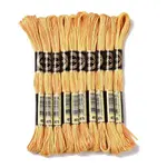 10 Skeins 6-Ply Polyester Embroidery Floss