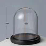 Arch Glass Dome Cover