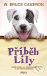 Psí poslání: Příběh Lily - Bruce W. Cameron, Richard Cowdrey (ilustrátor) - kniha z kategorie Pro děti