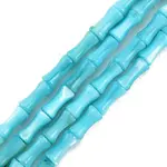Natural Freshwater Shell Beads Strands