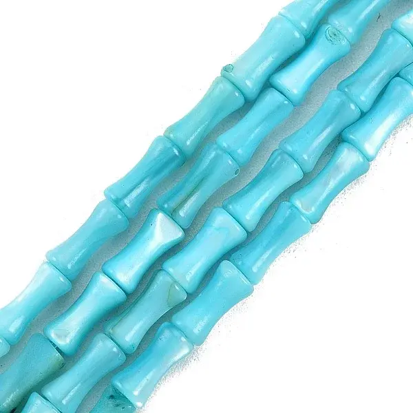 Natural Freshwater Shell Beads Strands