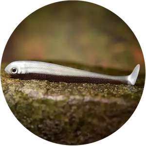 Redbass gumová nástraha ripper swimmer slim brown silver - xl 125 mm