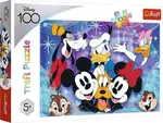 Puzzle Disney 100 let Zábava v Disney Worldu