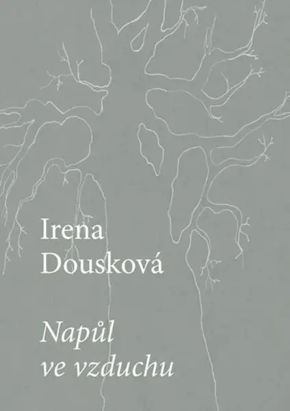 Napůl ve vzduchu - Irena Dousková