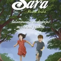 Sára. Kniha druhá - Jerry Hicks, Esther Hicks