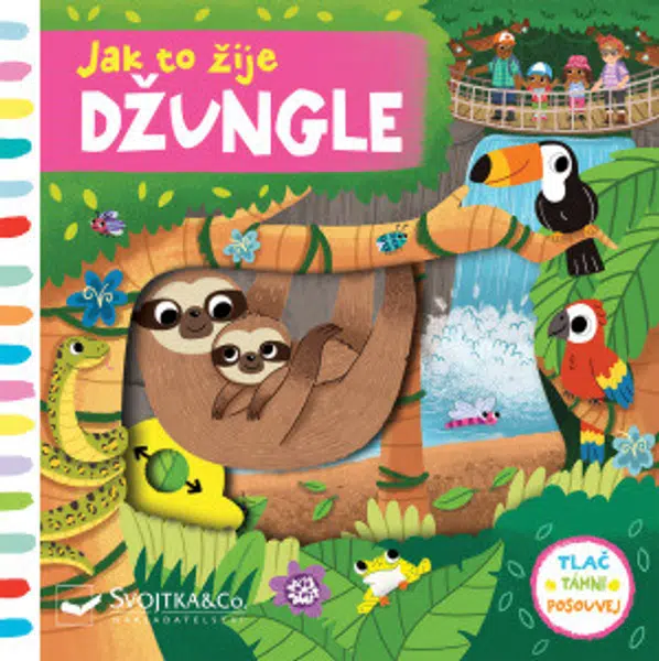 Jak to žije Džungle - Louise Forshaw