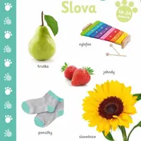 Malé kroky  Slova 18+ měsíců