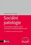 Sociální patologie (Forenzněpsychologický rozbor vybraných sociálněpatologických jevů) - kniha z kategorie Psychologie