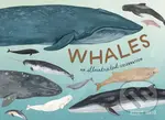 Whales (An Illustrated Celebration) - Kelsey Oseid - kniha z kategorie Naučné knihy