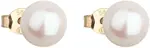 Evolution Group - Pavona Zlaté náušnice z pravých perel Pavona 921042.1