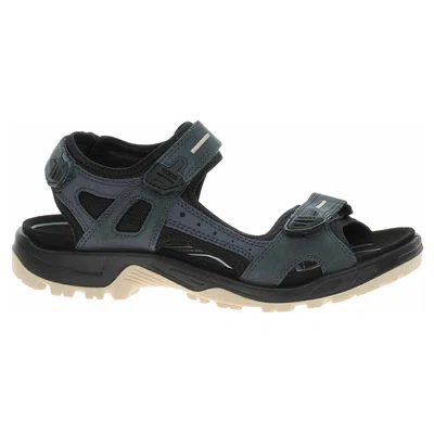 Pánské sandály Ecco Offroad 06956402415 ombre 48