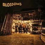 Blossoms – Blossoms