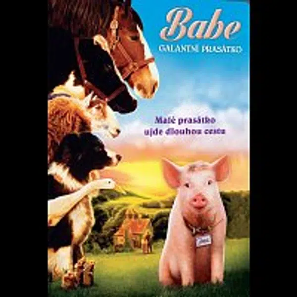 Různí interpreti – Babe: Galantní prasátko DVD
