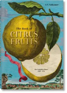 J. C. Volkamer. Citrus Fruits - Iris Lauterbach