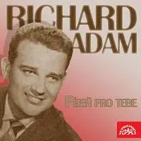 Richard Adam – Píseň pro tebe