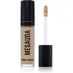 Mesauda Pro Light hydratačný korektor odtieň C30 4 ml