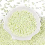 Opaque Colours Luster Glass Seed Beads