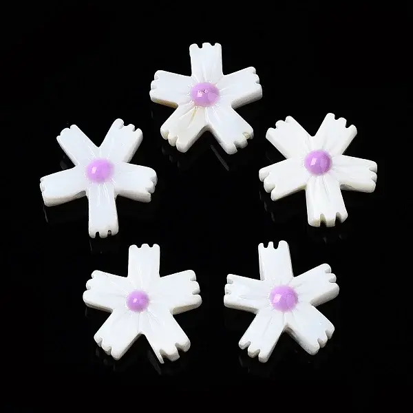 Natural Freshwater Shell Beads