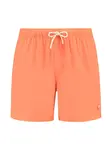 Shiwi Plavecké šortky 'Scott'  oranžová