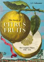 J. C. Volkamer. The Book of Citrus Fruits. 45th Ed. - Johann Christoph Volkamer