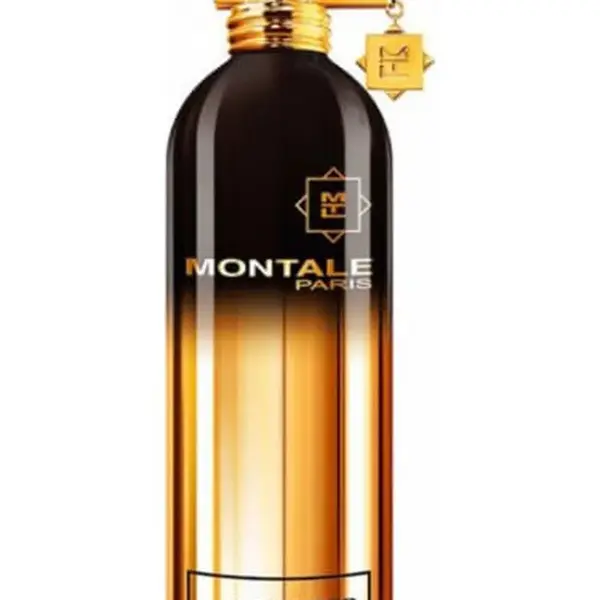 Montale So Amber - EDP 100 ml