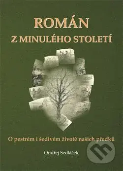 Román z minulého století (O pestrém a šedivém životě našich předků) - kniha z kategorie Společenská beletrie