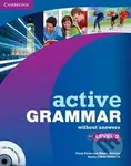 Active Grammar Level 2 without Answers and CD-ROM - Fiona Davis - kniha z kategorie Jazykové učebnice a slovníky