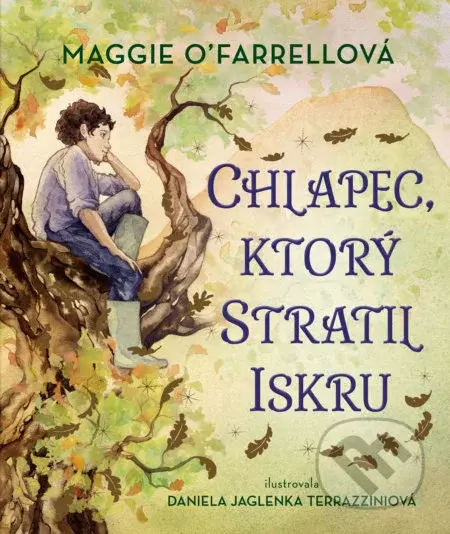 Chlapec, ktorý stratil iskru - Maggie O'Farrell, Daniela Jaglenka Terrazzini (ilustrátor) - kniha z kategorie Pohádky